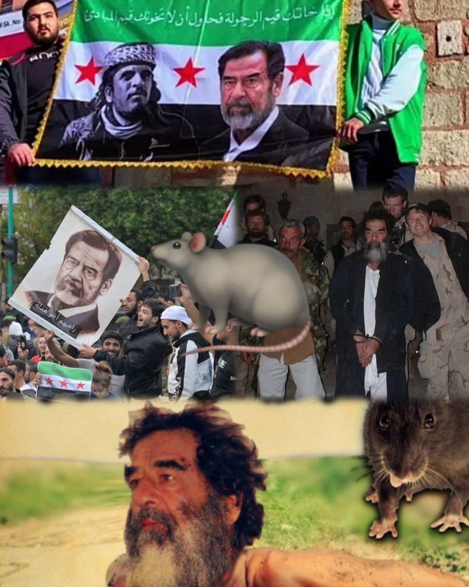 فخر جرذان بني امية الجرذ الكبير الجـ ـبان صدام … بسبب عقدة النقص بالشخصيات والرموز التاريخية والوطنية والعقائدية المضحية تخيلوا ان بني امية لايمتلكون أقوى من شخصية  هذا الز..نيم بطل الحفرة
#القبض_على_جرذ_الحفرة