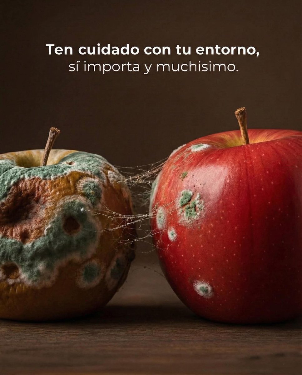 Pensamientos (@frasesimple) on Twitter photo 