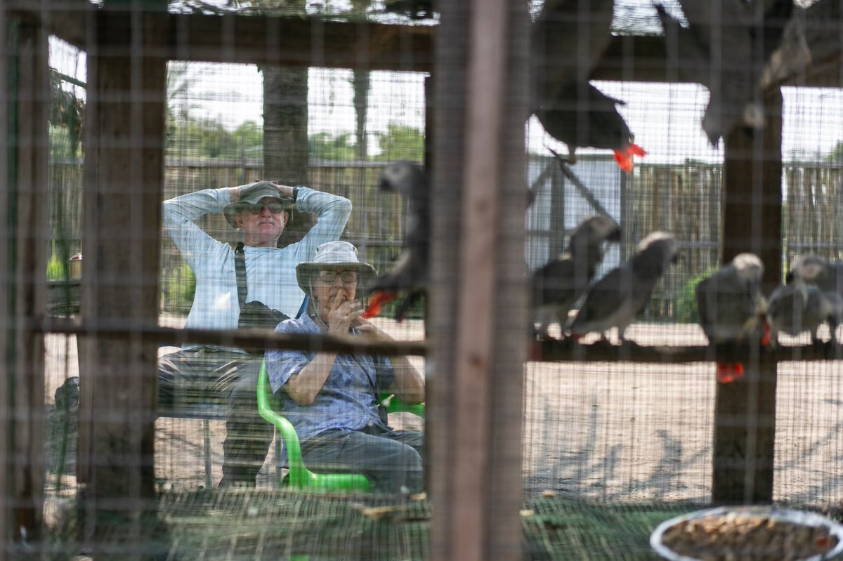 WIRE: Wildlife Investigative Reporters & Editors tweet media