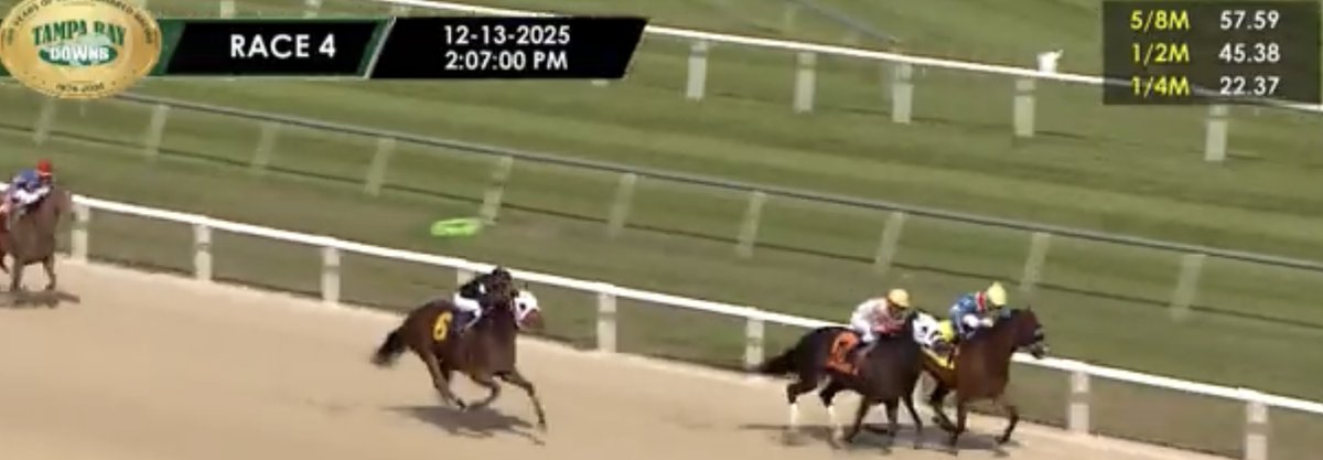 MJM_Stable's tweet image. Ritabook gets the stable its first win of the meet battling back with a very gutty win @TampaBayDownsFL Excellent aggressive &amp;amp; determined ride by Jose Batista and an outstanding training job by @carrasco_racing as always with this tremendous mare! Congrats to all the partners!!