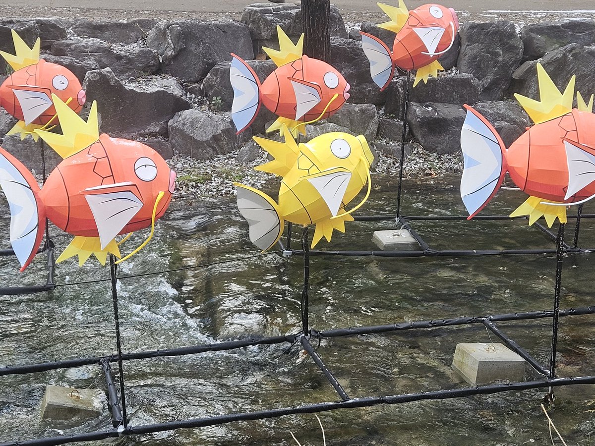 저녁에 가는게 더 이쁠듯 
#잉어킹