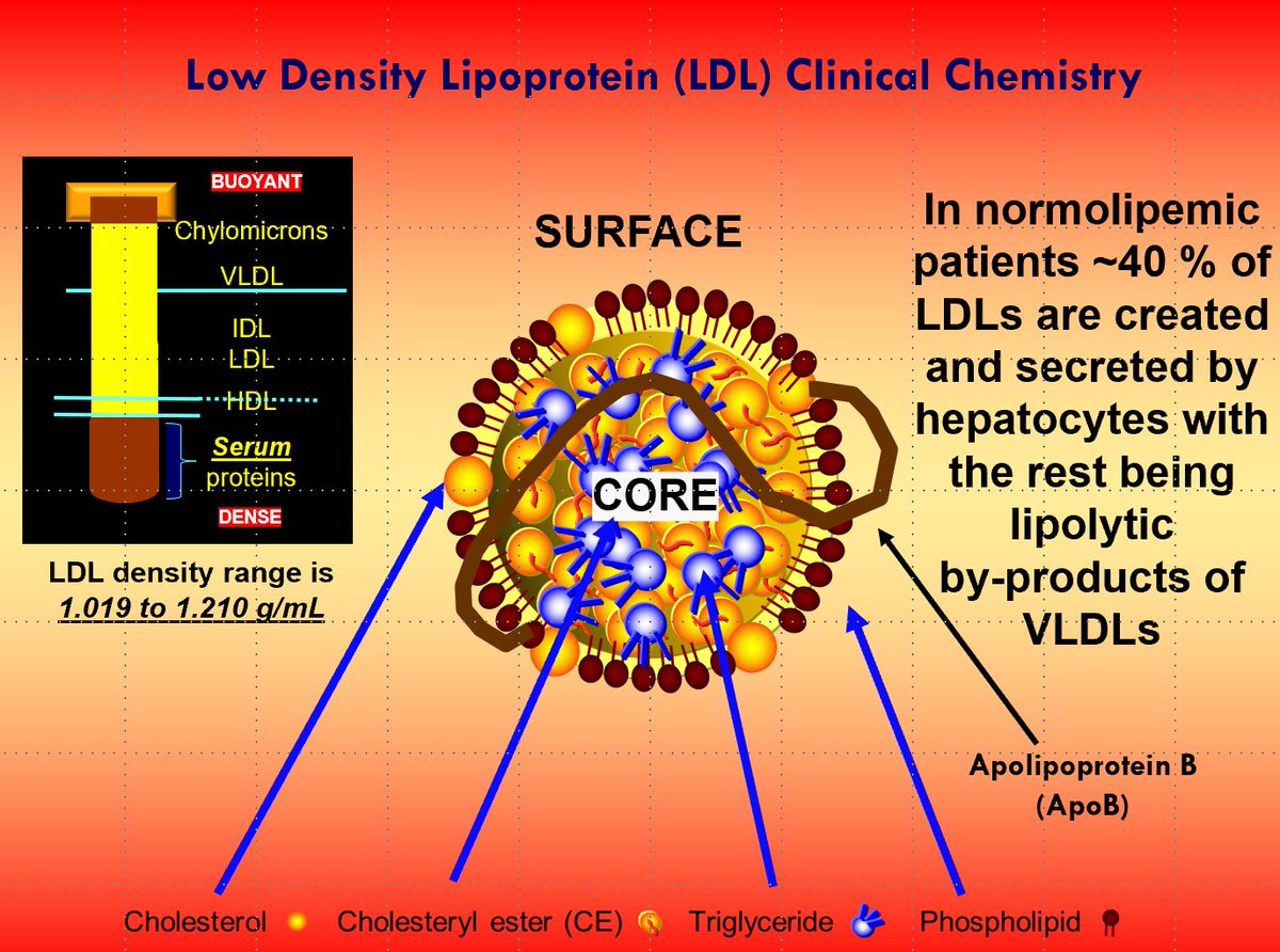Drlipid's tweet image. More on my LDL discussion series: Enjoy my graphics as they speak for themselves. @nationallipid @society_eas @ASPCardio @escardio @atherosociety @FamilyHeartFdn #cholesterol