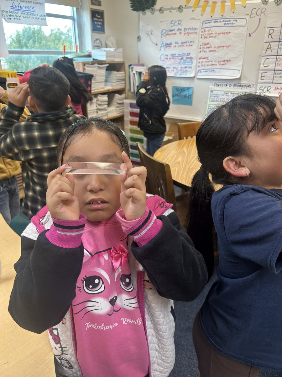 SeminaryHillsFW's tweet photo. 💙💛🐝 Our 3rd graders wrapped up the Light and Sound unit by using hands-on prism activities to strengthen their understanding of main idea and text evidence. Students observed, discussed, and connected to key details from informational texts. 
🌈💡🔈 

#SHPisthePlacetoBEE https://t.co/2T5n3y7XgO