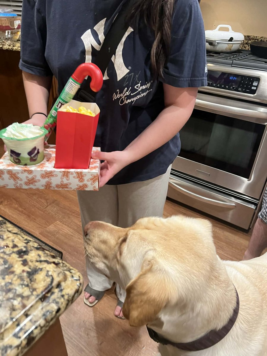SWMaybelline's tweet image. maybellinebook.com
Leo the Lab Report:
Mom made Grinch drinks and snack packs with popcorn and M&amp;amp;Ms. We watched The Grinch. I loved it! Ziggy and I were cozy on our blankets and waited for our movie treats.
#MovieNight #TheGrinch #SnacksAndWine #lakeboss #ChristmasMagic