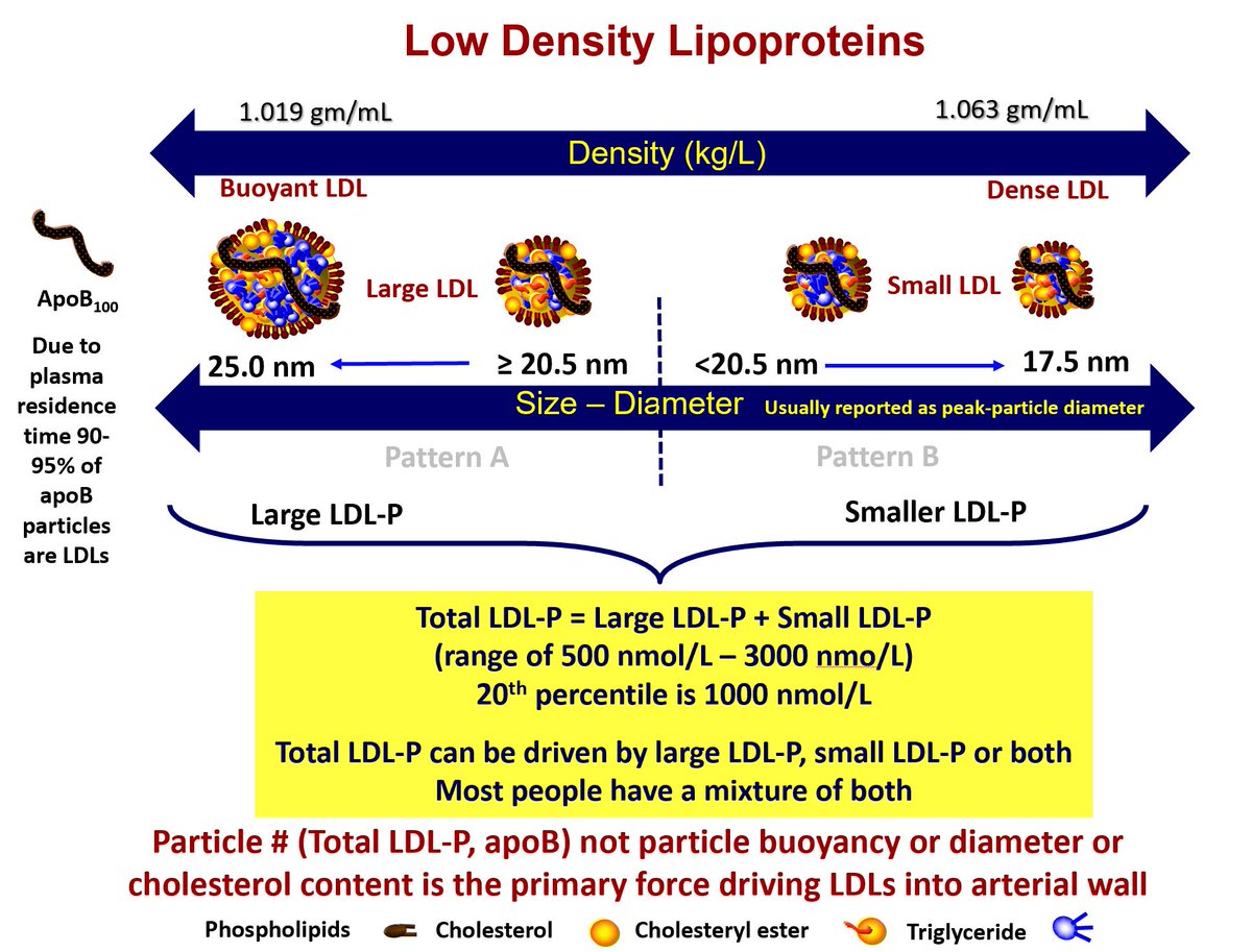 Drlipid's tweet image. More on my LDL discussion series: Enjoy my graphics as they speak for themselves. @nationallipid @society_eas @ASPCardio @escardio @atherosociety @FamilyHeartFdn #cholesterol