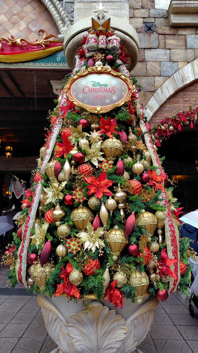 おはようございます