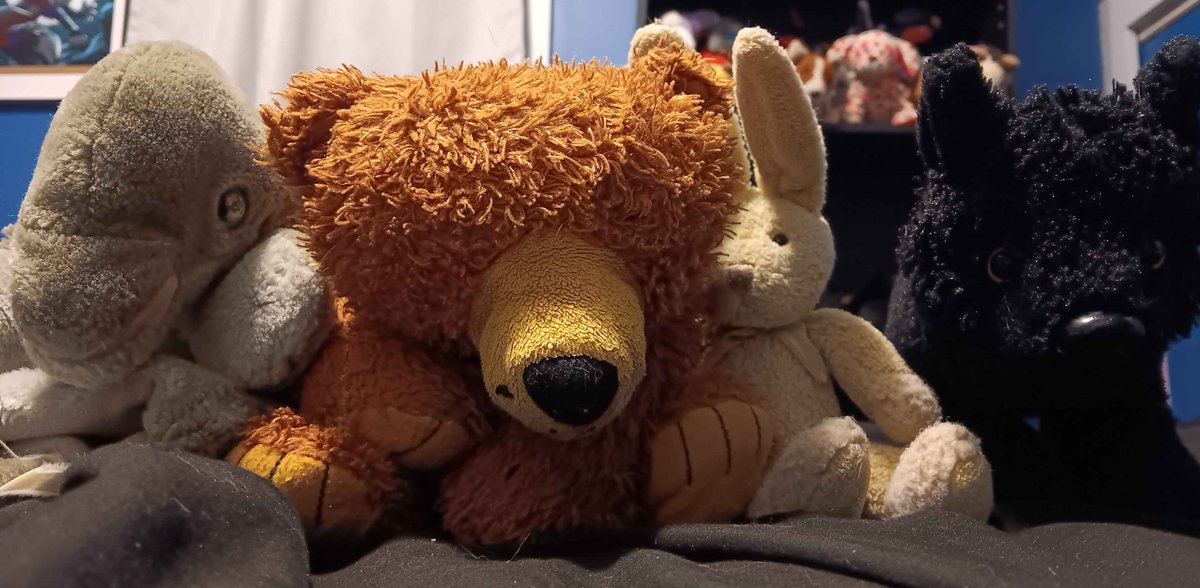 ShadowGohan7's tweet image. Stuffed Animals Worlds2025 Round 3 - Gohan vs Brownie twitch.tv/kage_wolf7