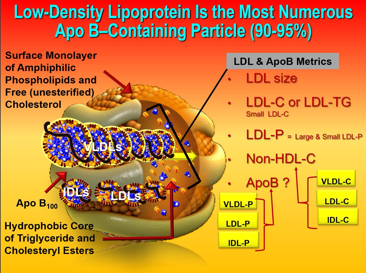 Drlipid's tweet image. More on my LDL discussion series: Enjoy my graphics as they speak for themselves. @nationallipid @society_eas @ASPCardio @escardio @atherosociety @FamilyHeartFdn #cholesterol