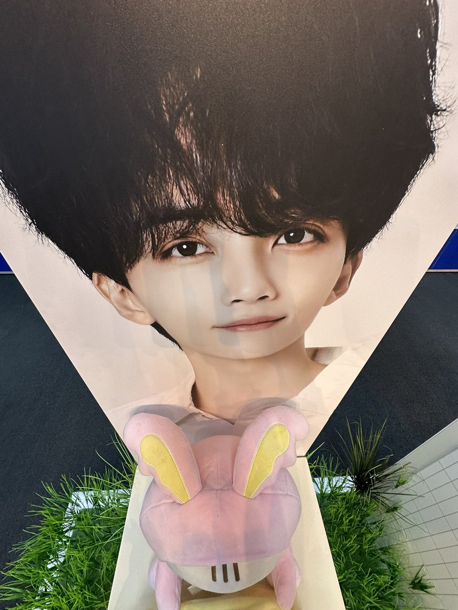 mellowhanni3's tweet photo. user mellowhanni3 went to the seventeen pop up 🥹 https://t.co/uiiy9OXwua