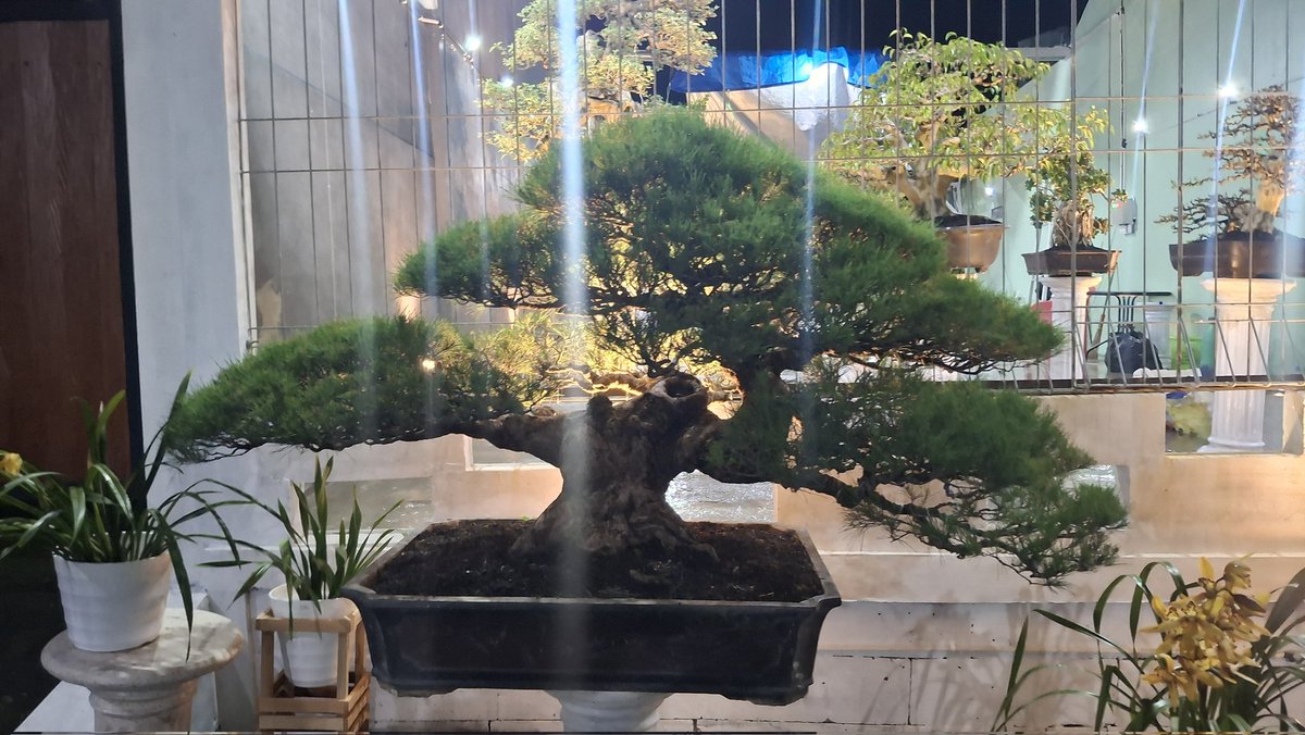 雪ִ片ֹ tweet media