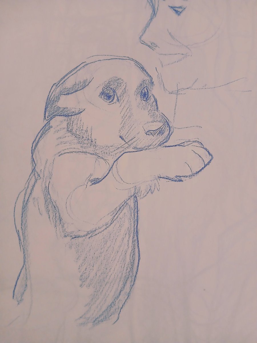 Sloog (@sloogsketch) on Twitter photo 