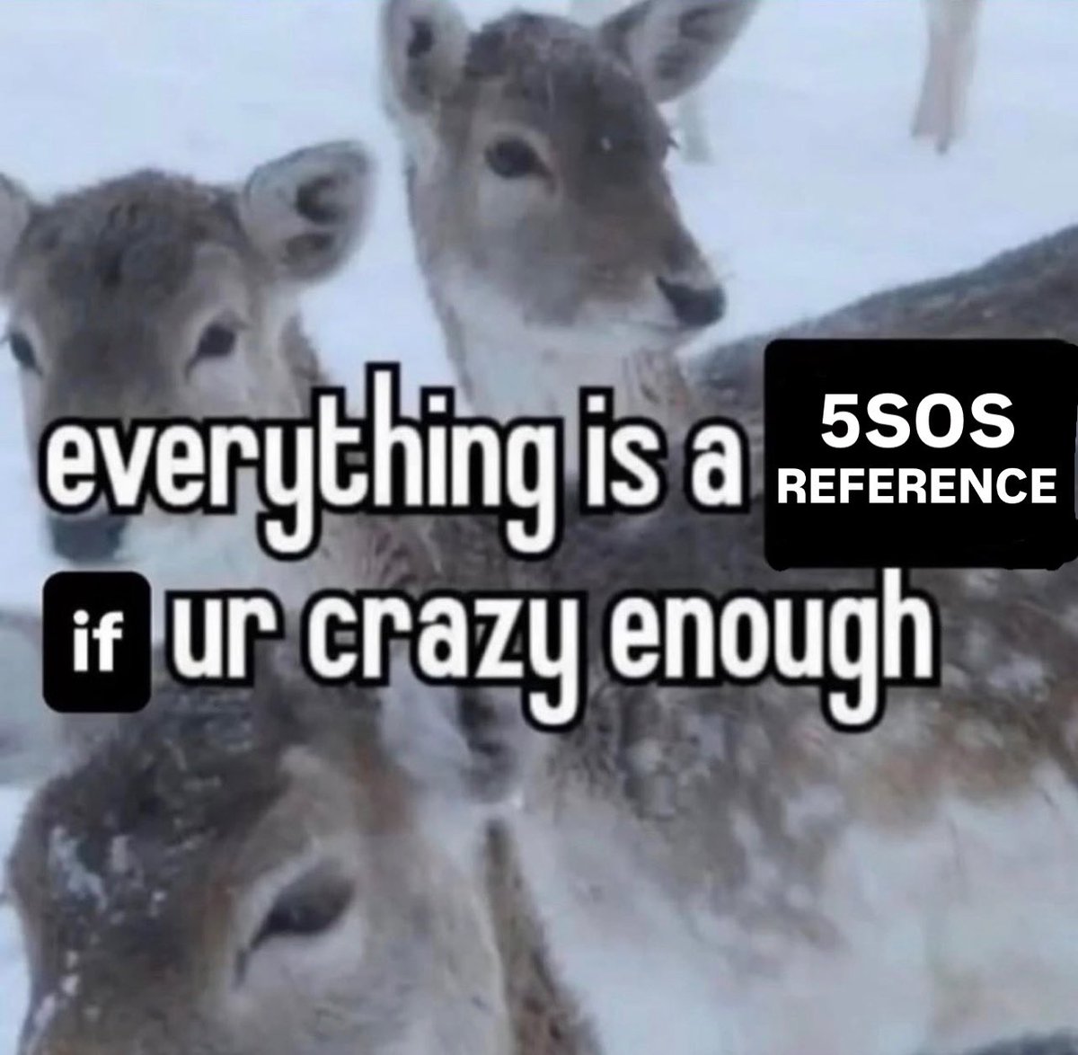 palvieberx's tweet image. 