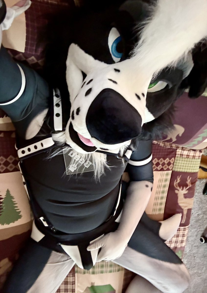 FarmDoggo's tweet image. What’s happening cuties?~ 😘 

🐶: @KinkyArtsAD 
🪡: @PETSUITFORFUN