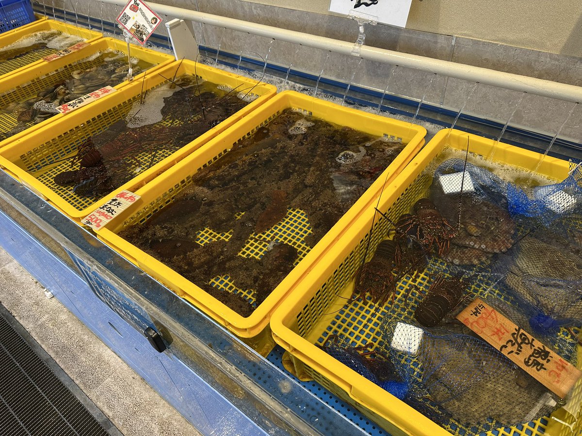 うお一番 tweet media