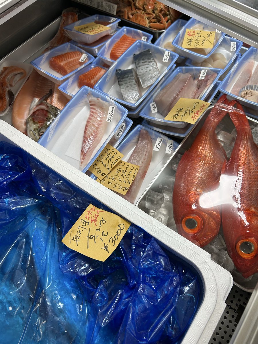 魚虎 うおとら (@uotora2024) / Posts / X