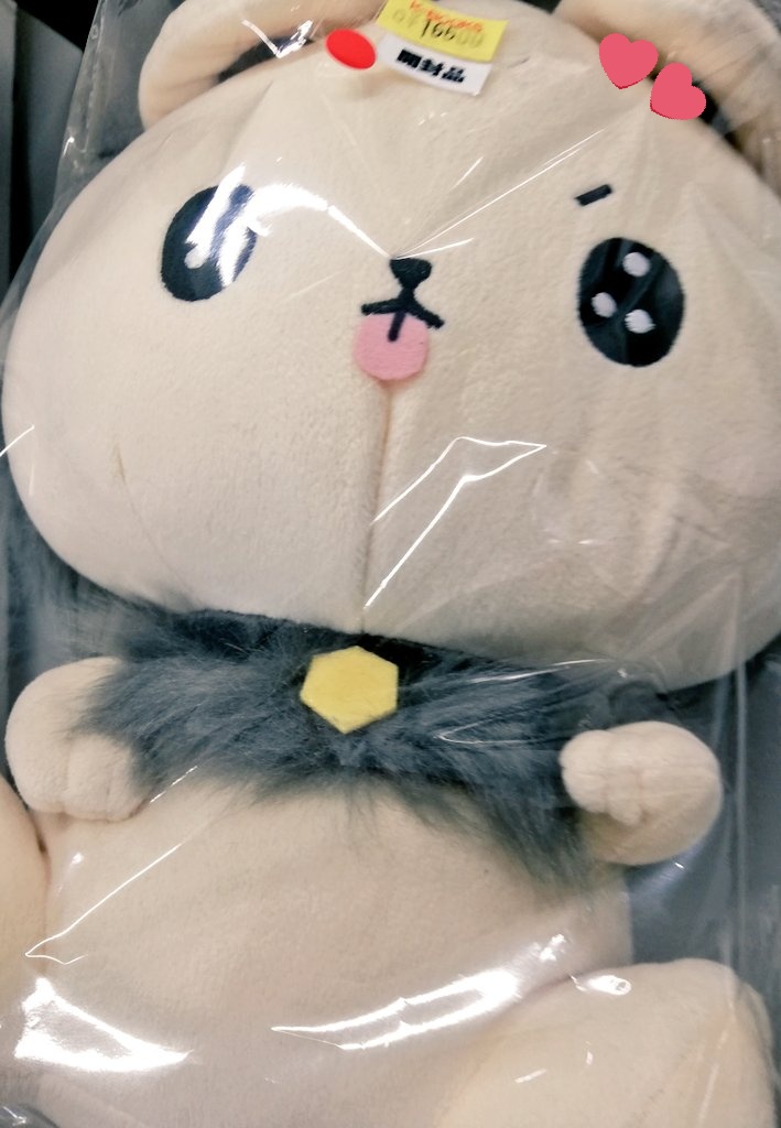 入荷情報】いれいす ◇ 一緒に寝ると夜しか眠れない もふめいとBIG