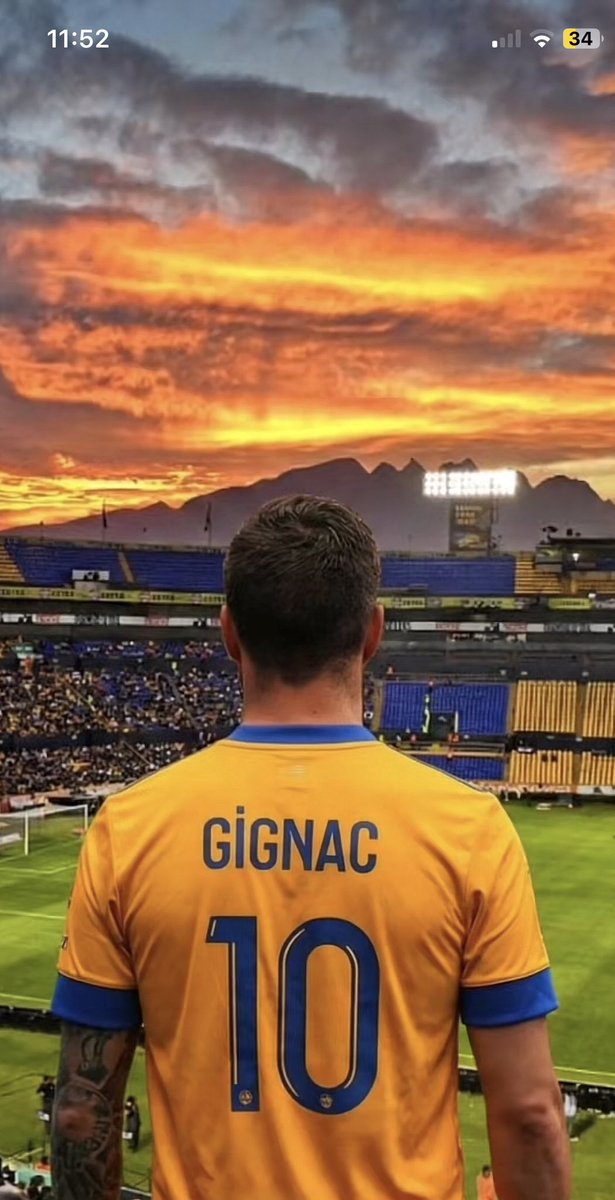 Adrixxx76's tweet image. Rt  a este Gignac de la suerte 🐯