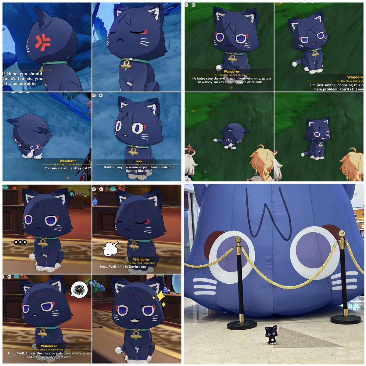 maoNeko02's tweet image. All of the meows 😼💙