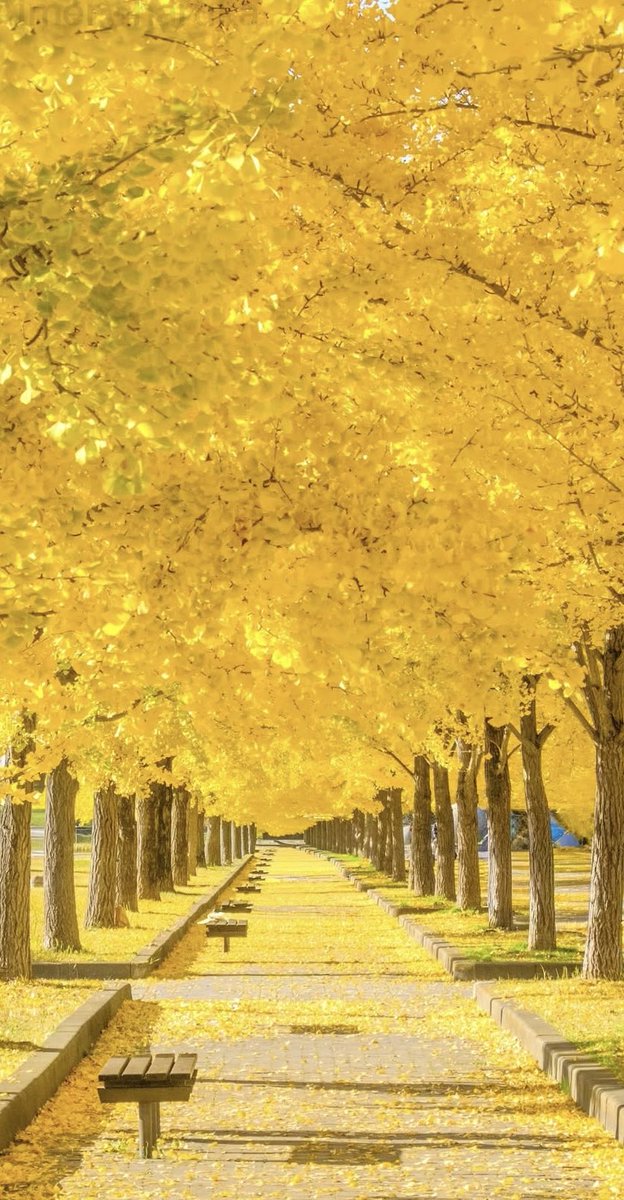 🍂🍂 Peaceful ☺️ Sunday 🍁🍂