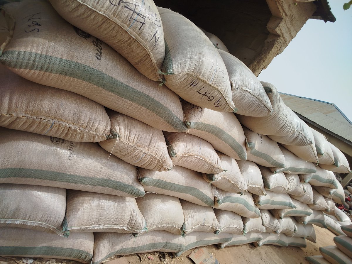 _twita_Labour's tweet photo. please, don't skip.  repost my business fisabilillah.🧎

📍 zamfara state, nigeria.
📥 my DM is always open for business.
🚚we deliver everywhere within nigeria
🛍️ place your order today and get one bag free! https://t.co/oHmScy6unJ