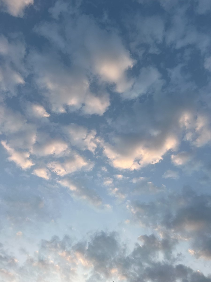 هذي الشواهد واسعة ، مُسرفة في السعة 
وبحملها في قادم الأيام سلوان وطمأنة 
اللهم عونًا ونورًا وسلامة 
وأمنًا وحُسنًا وكرامة
وزادًا طيّبًا وعملًا متقبلًا 
ورضى وسرورًا 
ورفقة طيِّبة 
وقلوبًا نقيَّة 
وهمَّة عالية 
اللهم آمين 🤍