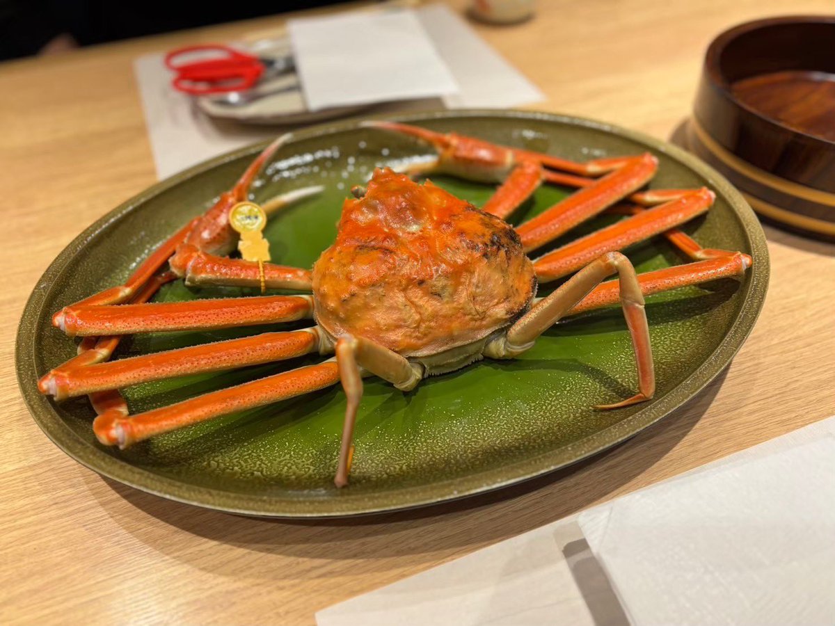 melinjol's tweet photo. カニ！🦀
福井で越前蟹を食べてきました！

とにかくおいしー♡
この時期しか食べられないのが残念。。

#たけ庄 #三国港 #越前蟹 #越前がに #福井 #三国 #あわら #三国グルメ #福井グルメ #海鮮 #お酒 #お酒が好きな人と繋がりたい #極上グルメ #背徳グルメ #通風 https://t.co/naotS23hGY