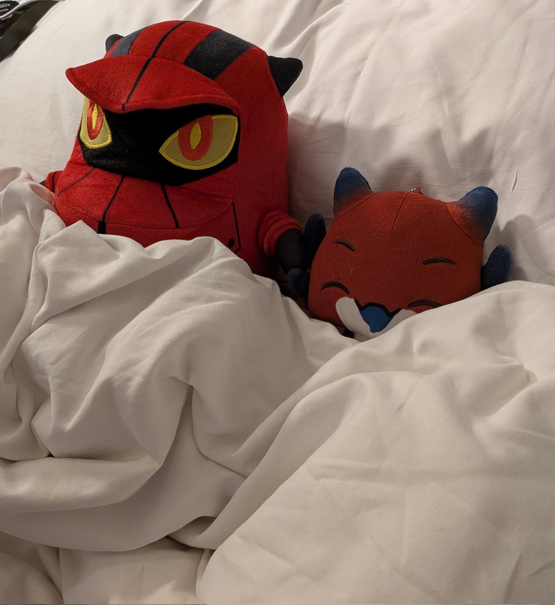 Tucked in and comfy to prepare for tomorrow ❤️❤️❤️ Goodnight, Ft. Worth!~