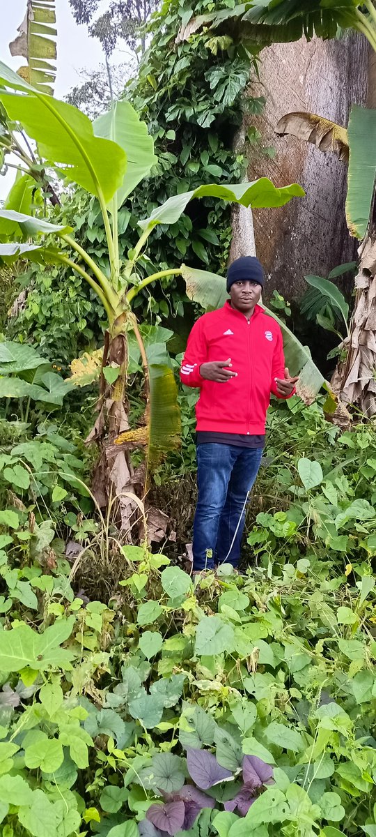 AbiluTangwa's tweet image. They have insults.
We have orbits,instruments, and ice cores.

They have rhetoric.
We have records,of warming oceans,burning forests, and shifting seasons.

Awareness must continue. The evidence is in the field. #ClimateScience #Fieldwork