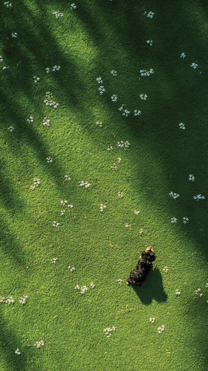 aestheticwabi's tweet image. 