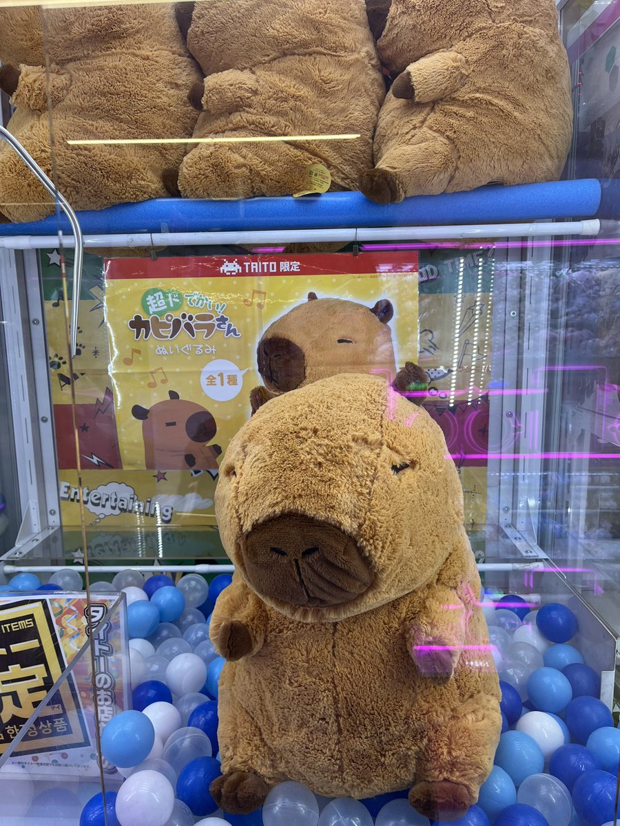 超ドでかい！カピバラさんぬいぐるみ 超ドでかい！カピバラさんぬいぐるみ｜タイトーの12月のおすすめプライズ