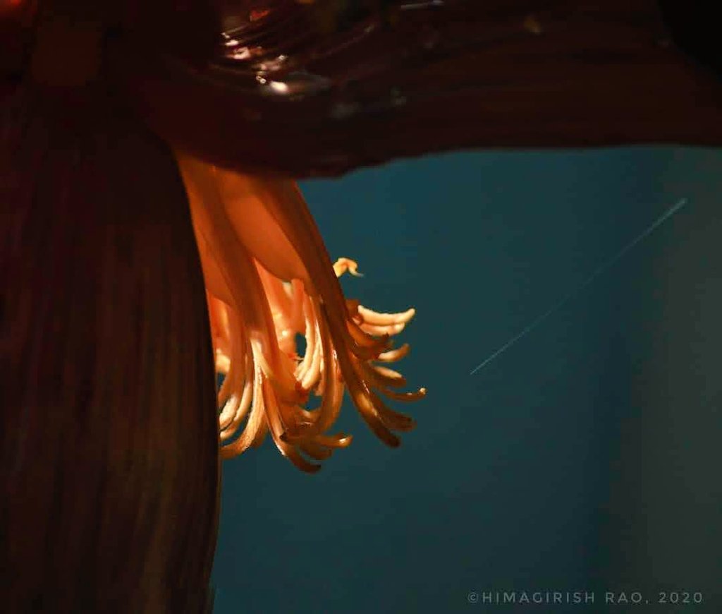 chauchaubhath's tweet image. Theme: #Backlit.