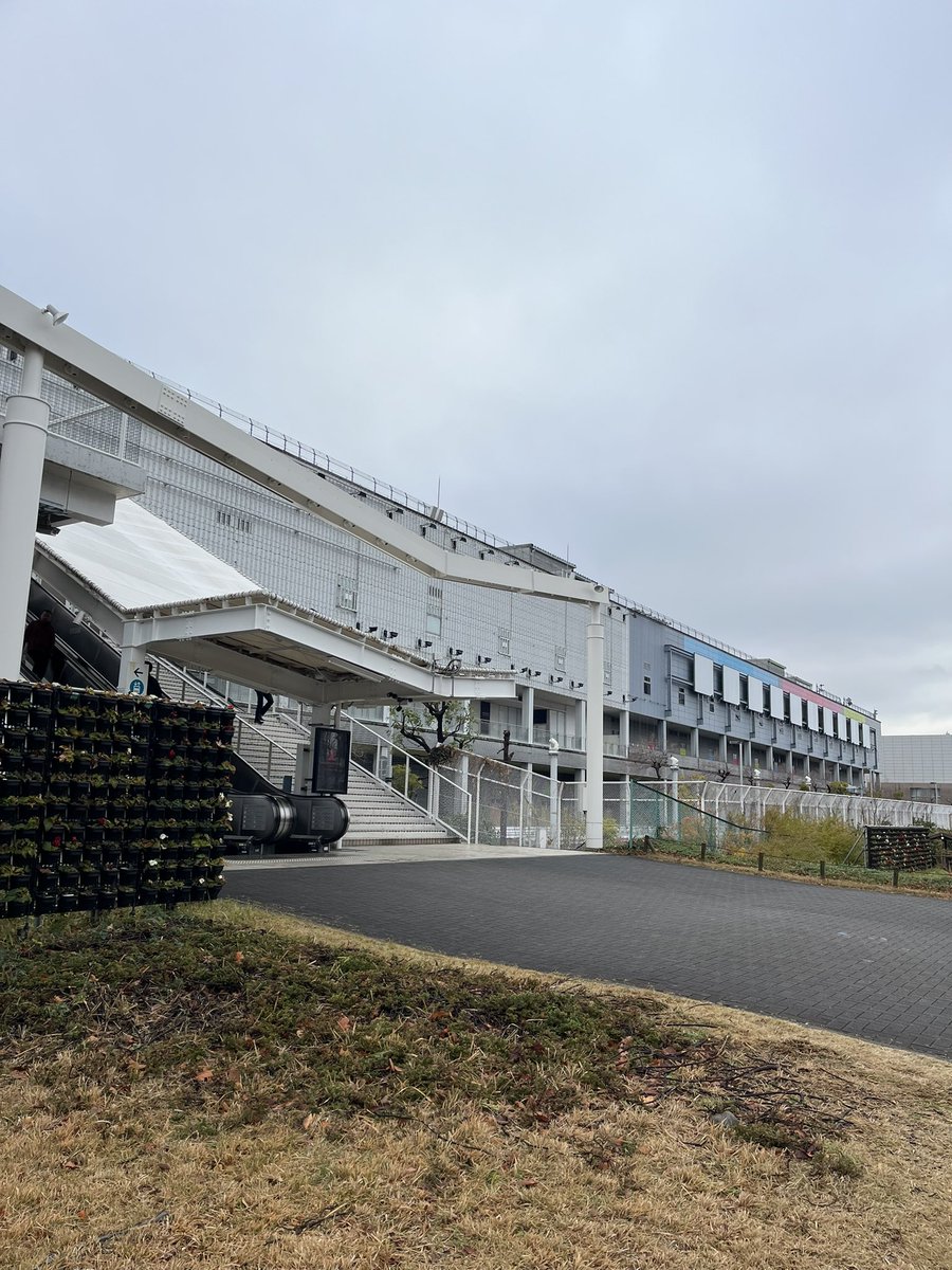 懐かしい。今はヴィーナスフォートじゃないんだっけ？Zepp Tokyoと