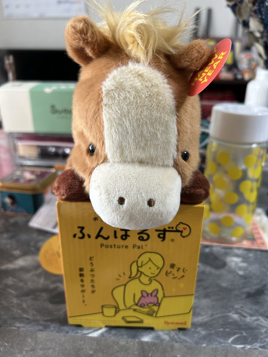 ふんばるず【公式】 (@funbarus) / Posts / X