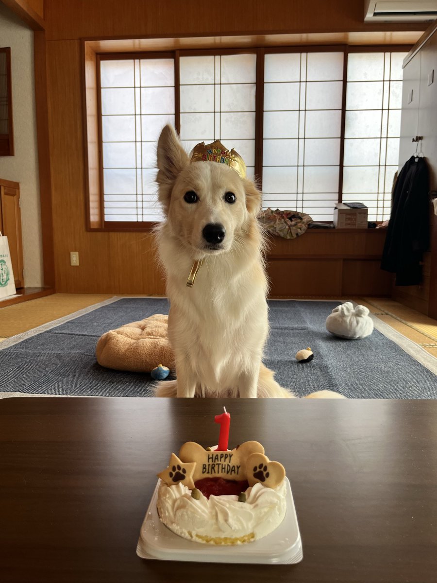 abc96cba's tweet photo. 一歳おめでとう😭🫶
これからもよろしく🥹💕 https://t.co/sOJJZkBpw2