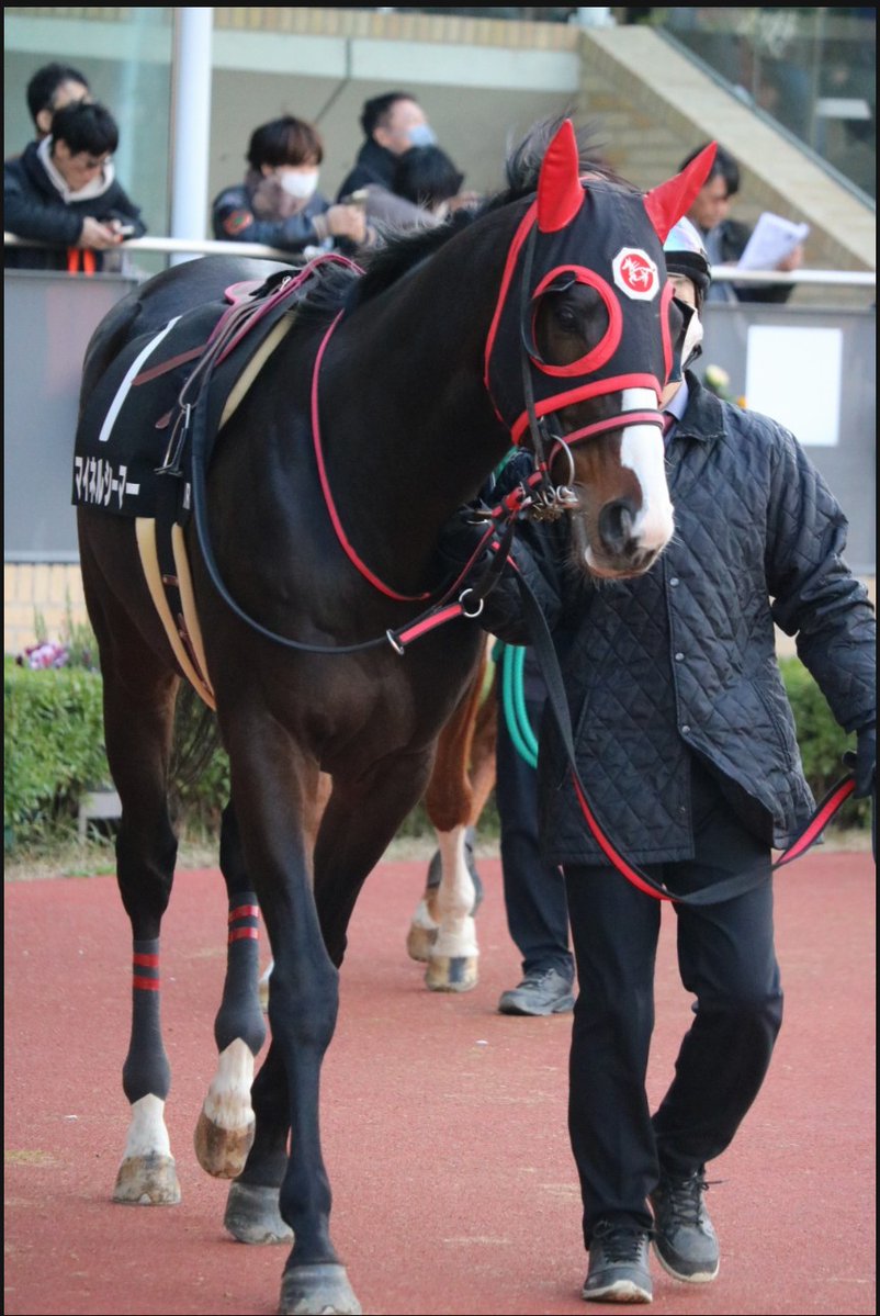 ネブゾー (@nebuzou_sun) / Posts / X