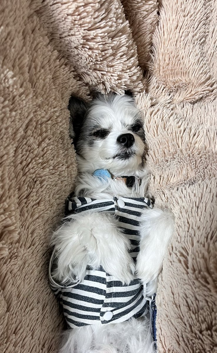 J I K K A ‼️‼️‼️