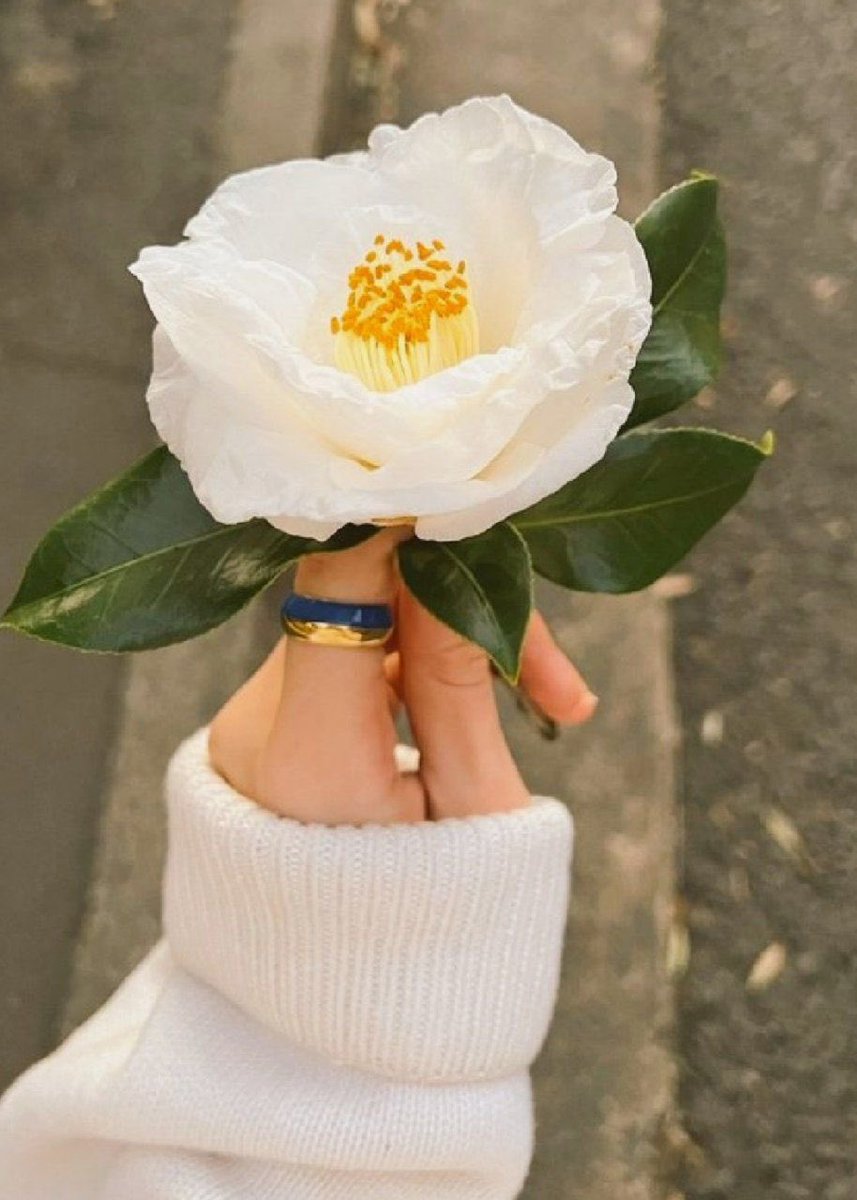 ،

‌صباح الخير للذين يتركون من خلفهم أثرآ جميلآ للذين يمرون من غير ضرر ولا ضرار
صباح جميل لحاملي الود أينما حلوا ورحلوا