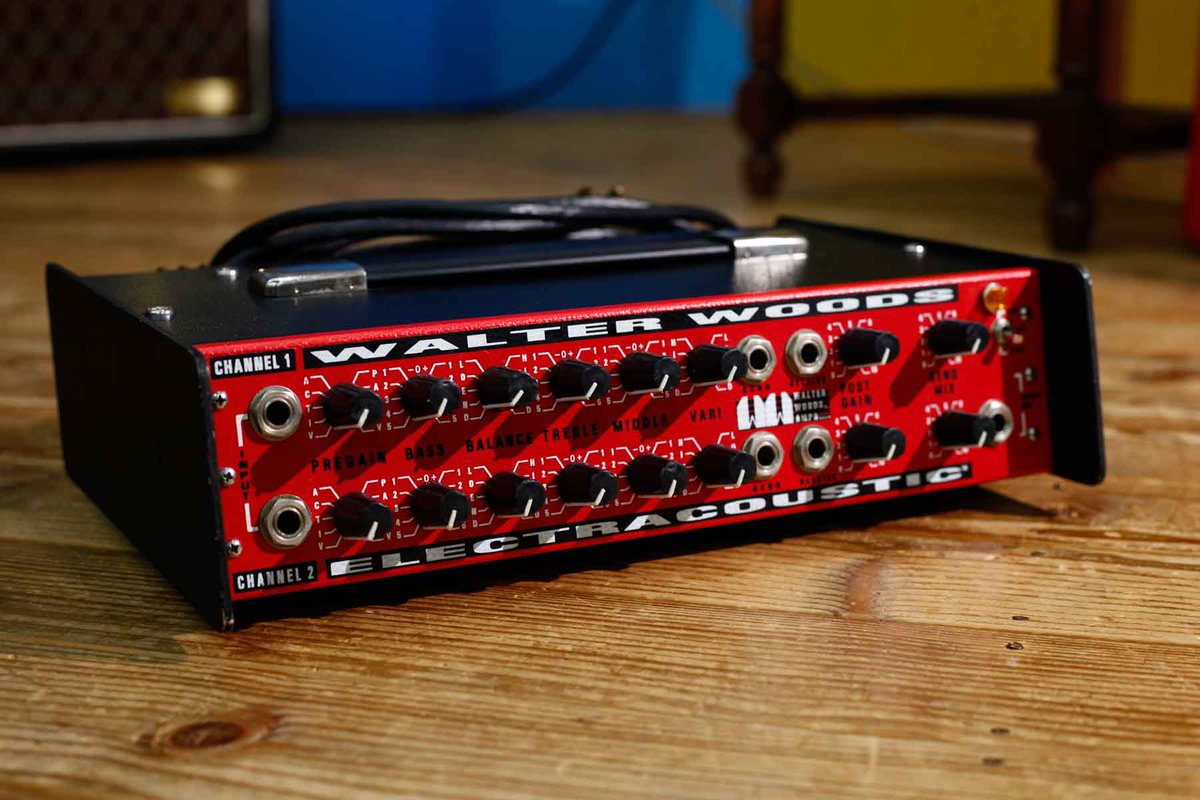 WALTER WOODS ハードケース ベースアンプ ヘッド ウォルターウッズ WALTER WOODS ハードケース ベースアンプ ヘッド ウォルターウッズ