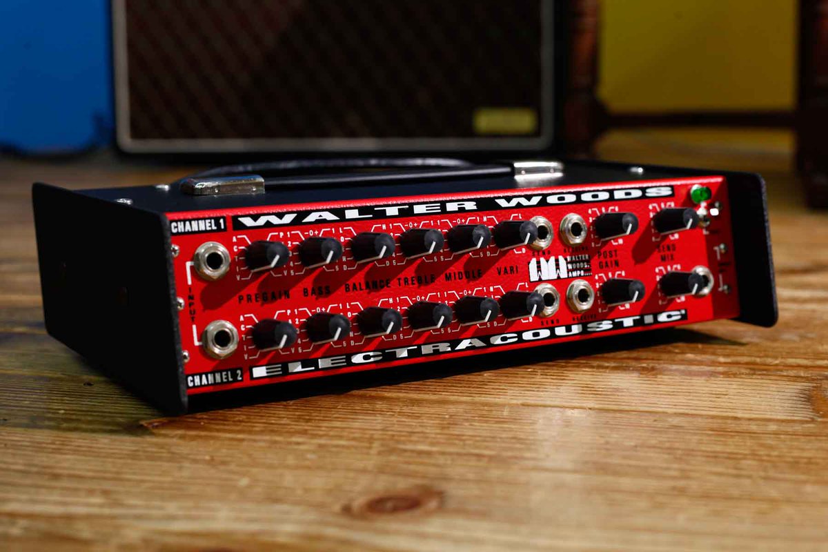 WALTER WOODS ハードケース ベースアンプ ヘッド ウォルターウッズ ベーシスト必見！！ 最高峰のベースアンプWALTER WOODSヘッドとEpifani