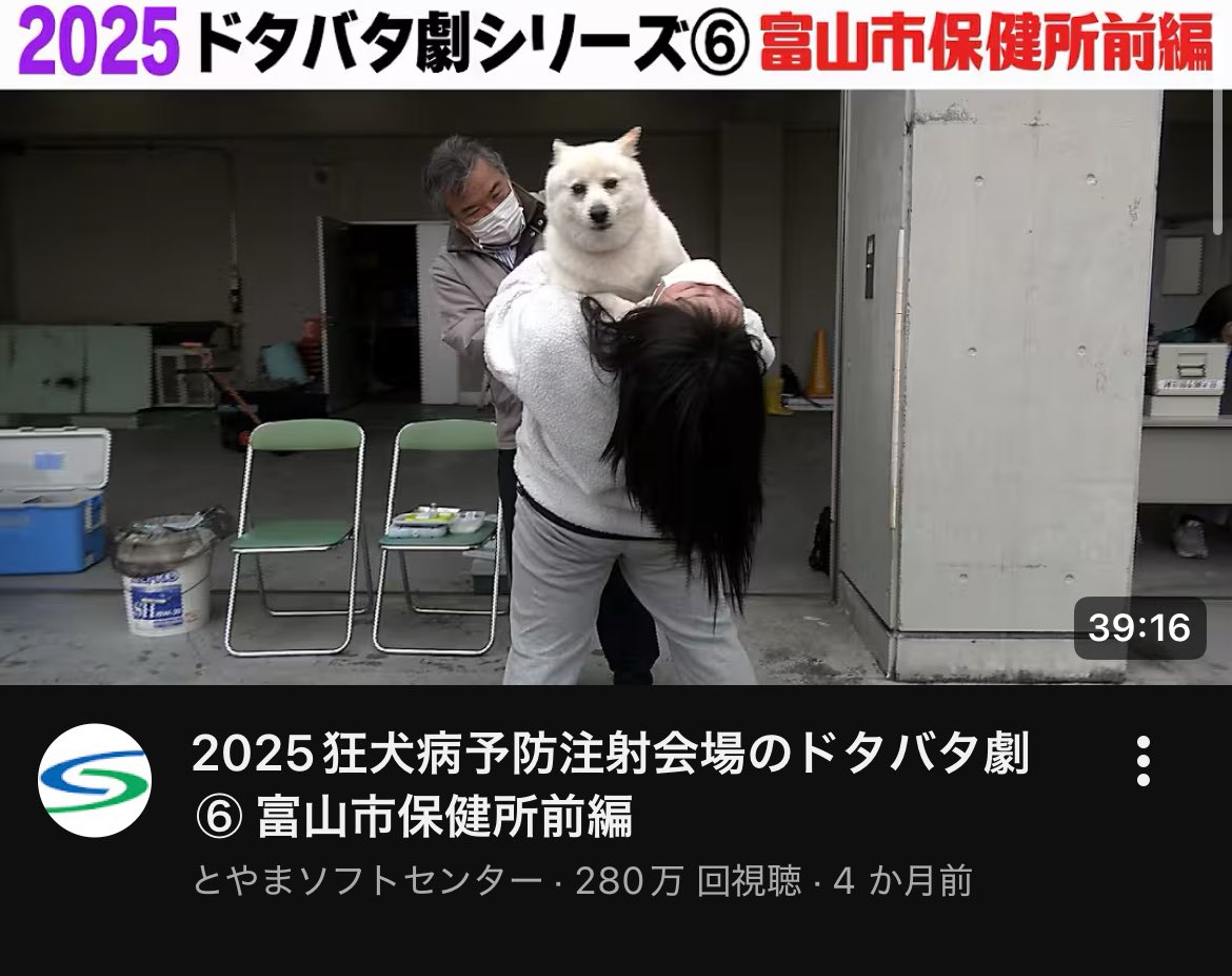 青りんご💪🍏 (@Green_Apple0502) / Posts / X