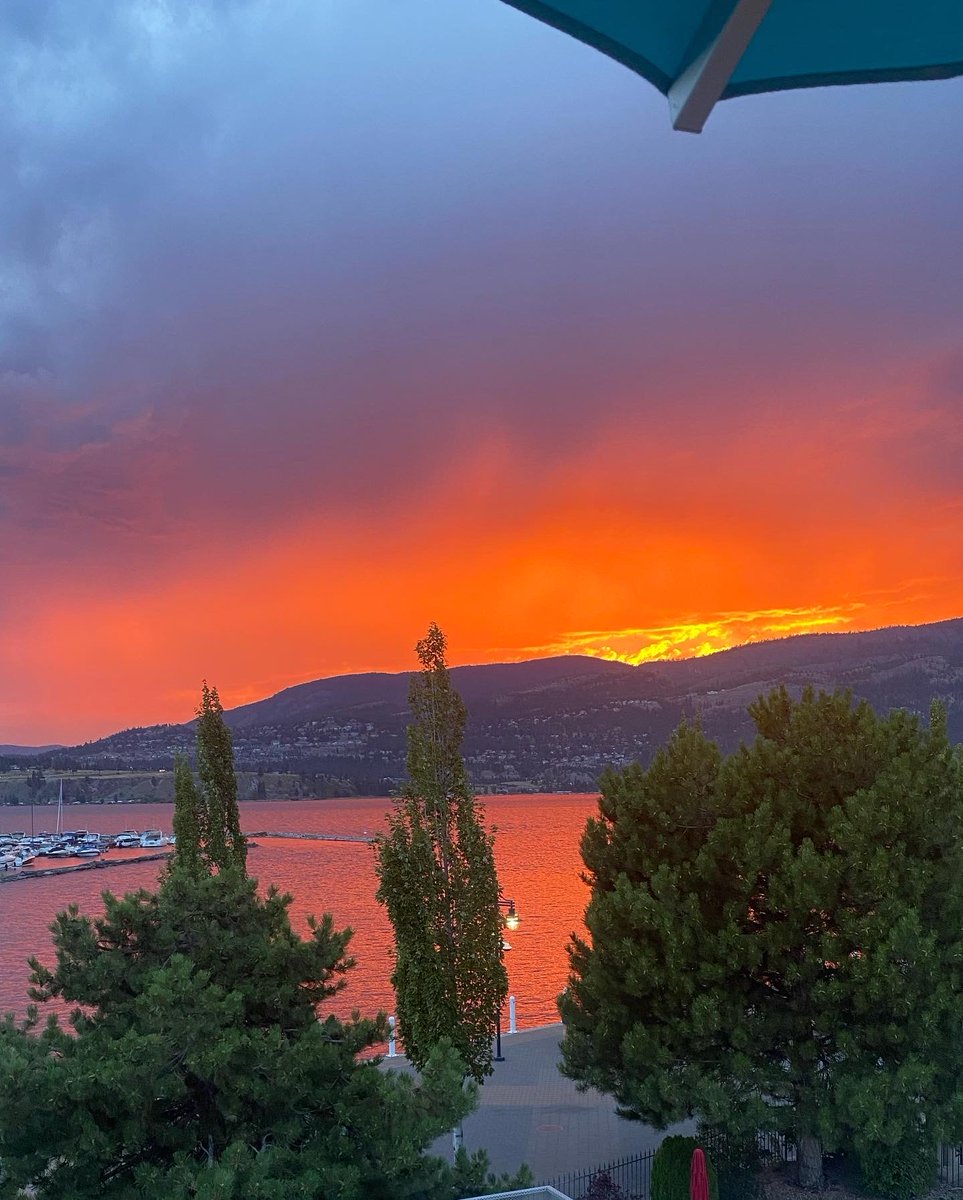 Matt Renwick tweet media