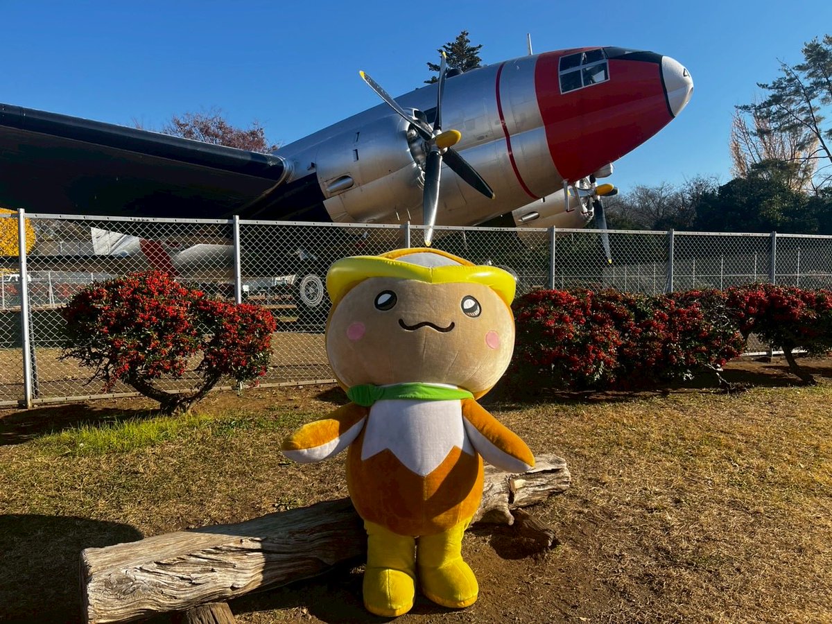 トコろん【公式】 (@tokoron1056) / Posts / X