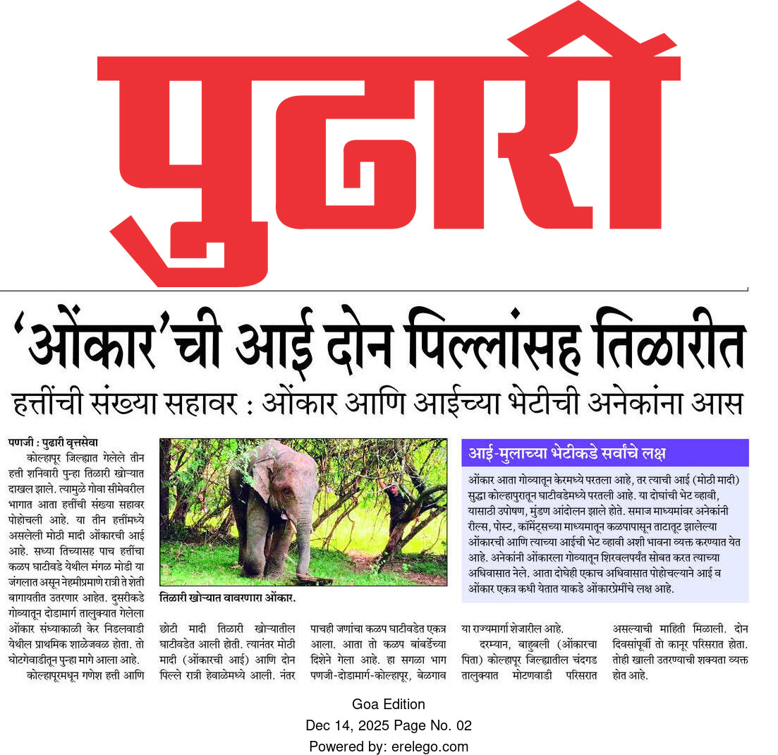 tatva_app's tweet photo. #omkarhatti नो need of #vantara because ओंकार elephant is वाइल्ड  and vantara had more एक्सपेरियन्स in Keptive animal https://t.co/qd4YdWR4hS