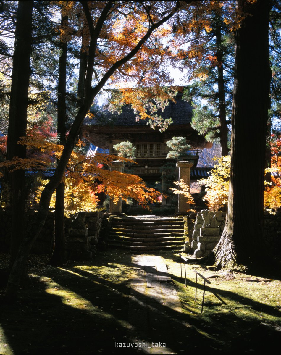 kazuyoshi_photo's tweet image. 約1年ぶりのバケペンによる撮影でした
秋～冬までの景色が揃い踏みです
ASAHI PENTAX 6×7 + SMC TAKUMAR6×7 75mm F4.5 or 200mm F4 + FUJI PROVIA 100F (RDPⅢ)
(Scan：CanoScan 9000F MarkⅡ)
#ASAHIPENTAX #pentax67 #provia100f