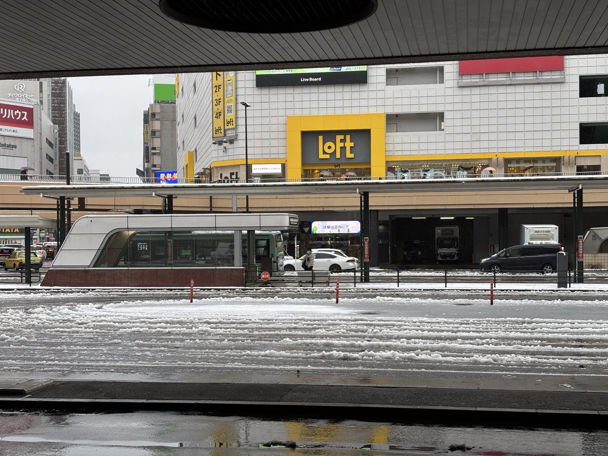 しでお@リゼちゃん誕生日まであと365日/きらファンありがとう