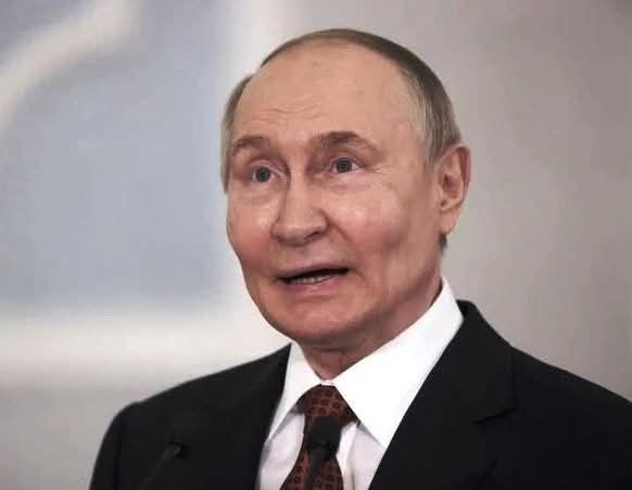 Olena Rohoza tweet media