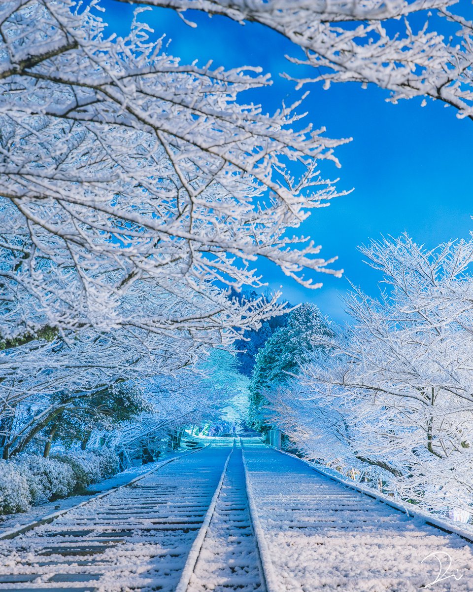 usalica's tweet photo. 雪化粧の線路❄️ https://t.co/Gc4vdW5XFi