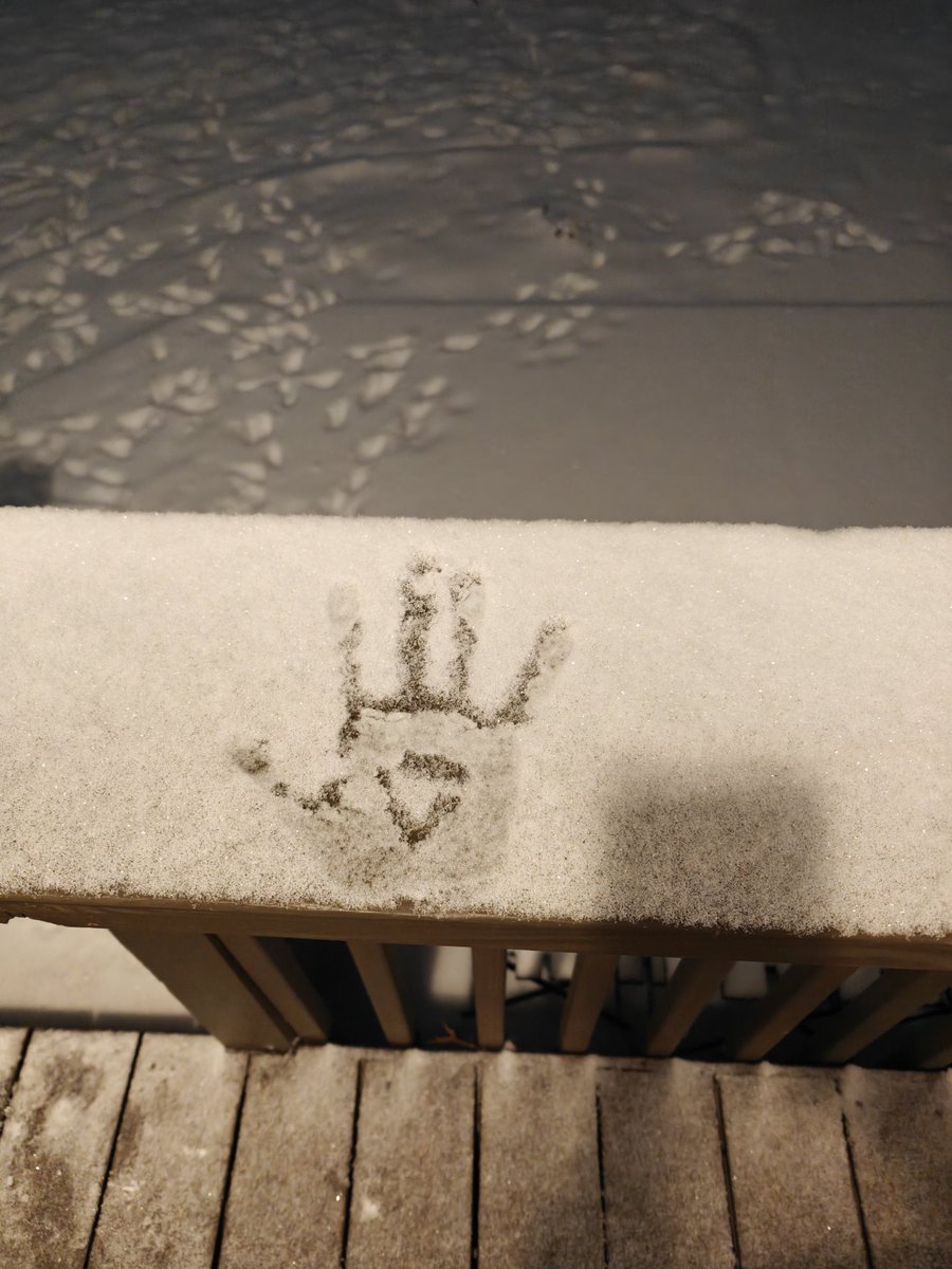 3ThreeInOne1's tweet image. I let my dogs outside and thought how wonderful it'd be to feel the snow on my hand so I sat it down and found my hand makes an upside down triangle? Wtf?