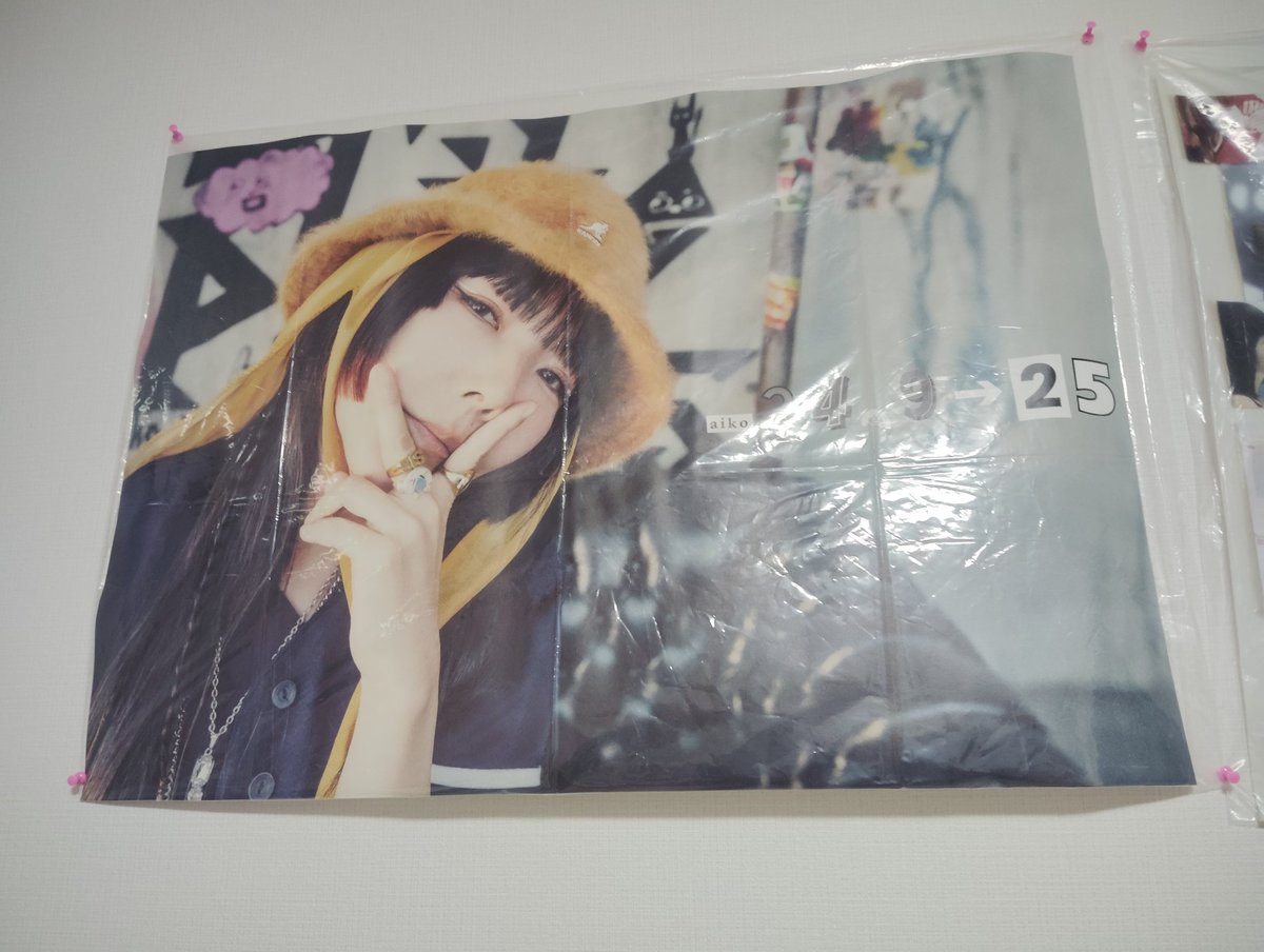 ラグマット敷いた〜！ ポスター貼った〜！ あの子達が増えたので