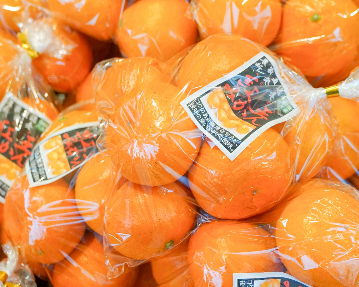 ⭐️ティンカーベル⭐️オレンジマジック⭐️ダイタオレンジセット⭐️レベッカセット ⭐️ティンカーベル⭐️オレンジマジック⭐️ダイタオレンジセット